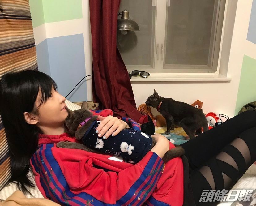 黃劍文啲貓貓年紀已經唔細。